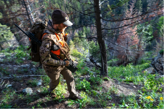 Ethical hunting essay image