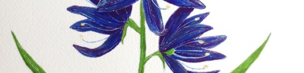 Camas featured image.