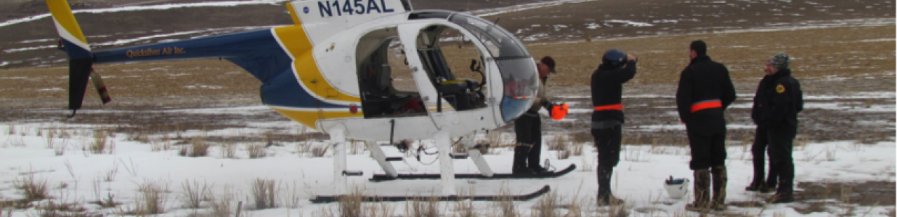 Elk Capture at MPG Ranch featured image.