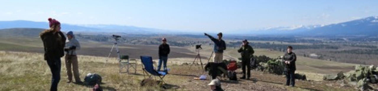 Volunteers Assist Spring Raptor Migration Count featured image.