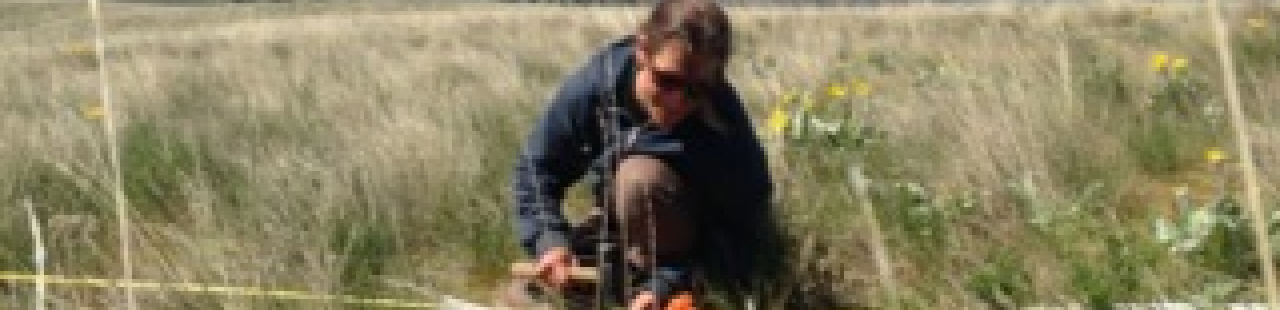 MPG Ranch joins the global research cooperative Nutrient Network featured image.