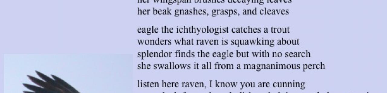 Eagle and Raven featured image.