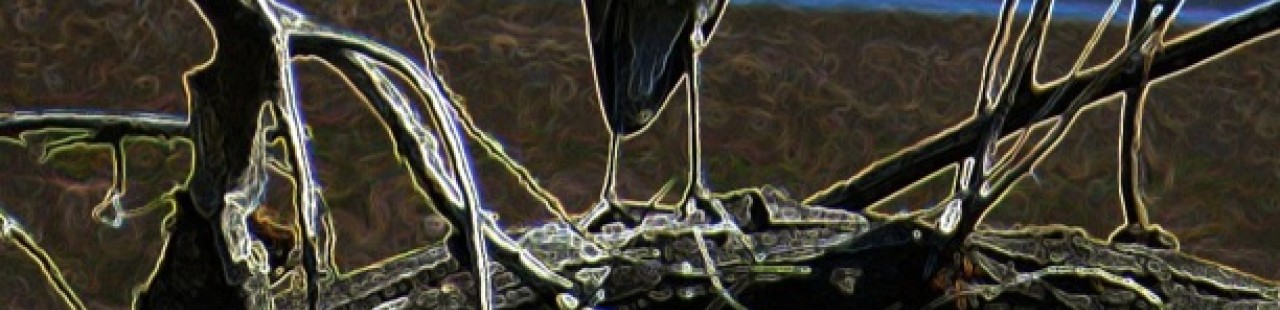 Heron featured image.