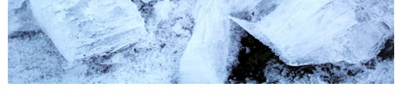 The Blueshade Glade featured image.