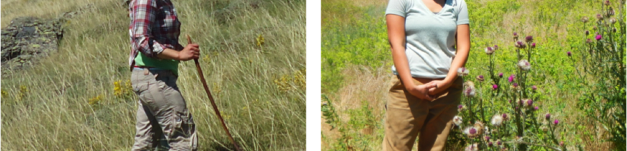 Introducing Birsen and Natasha featured image.