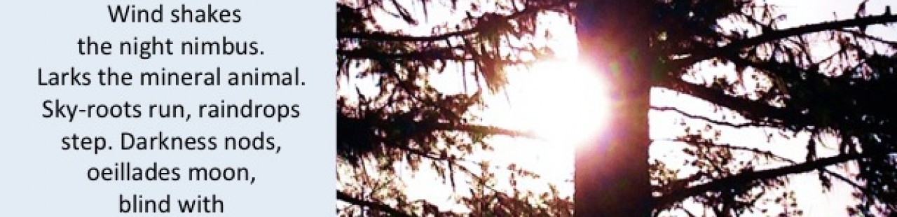 Sunrise featured image.