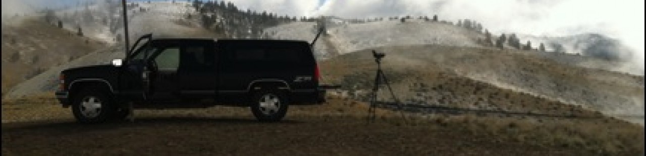Raptor Migration 2013 Update 6 featured image.