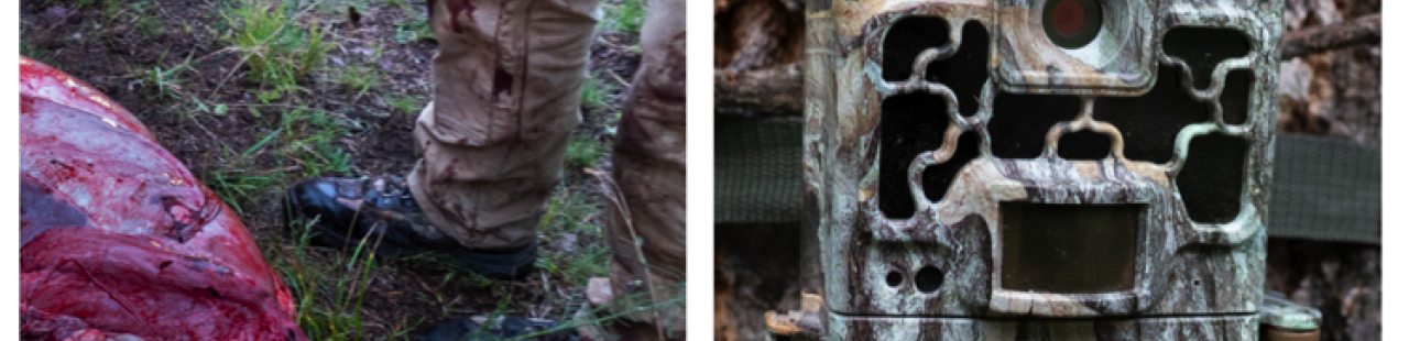Got a game camera? Let's team up. featured image.