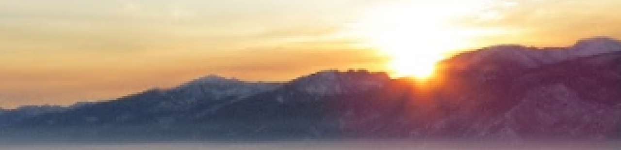 January Volunteer Opportunities featured image.