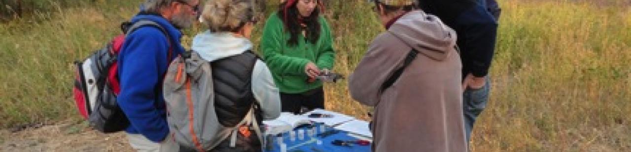 Bird Migration Celebration Events featured image.