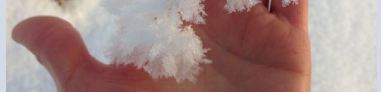 Rime featured image.