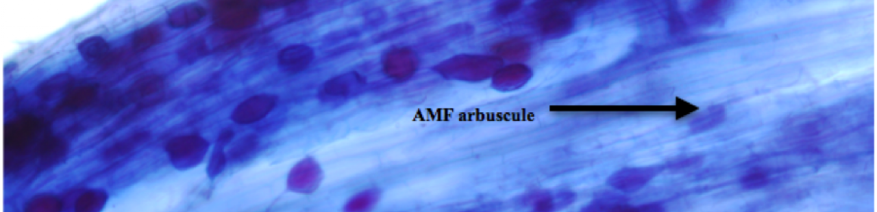 Lab featured image.