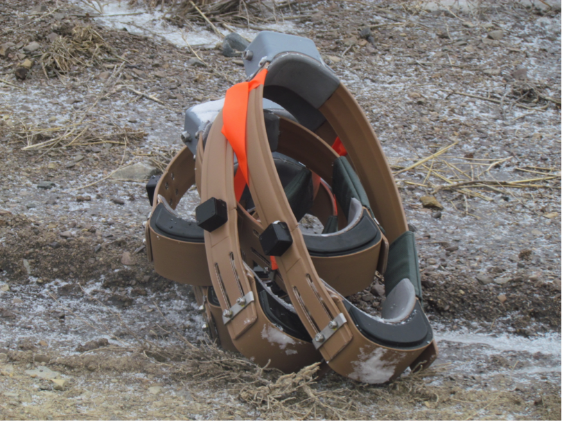 These radio collars waited for pick-up by the helicopter crew. The orange flagging indicated a collar sized for a bull elk. During the rut, bulls’ necks swell, so the collars must accommodate this.