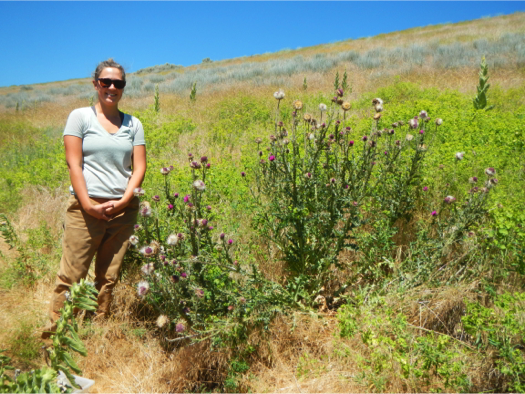 Natasha Boote presented the results of a collaboration between Ylva Lekberg, the US Forest Service and Adnan Menderes University in Turkey.  