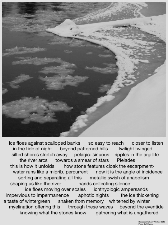 Ice floes