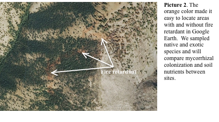 The orange color of fire retardant is visible using Google Earth.