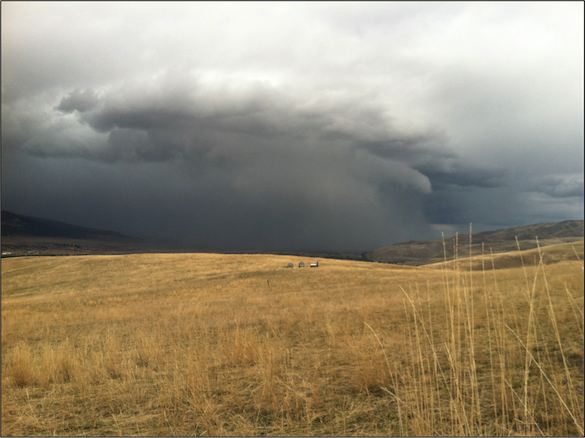 Storms create surges of raptor sightings.